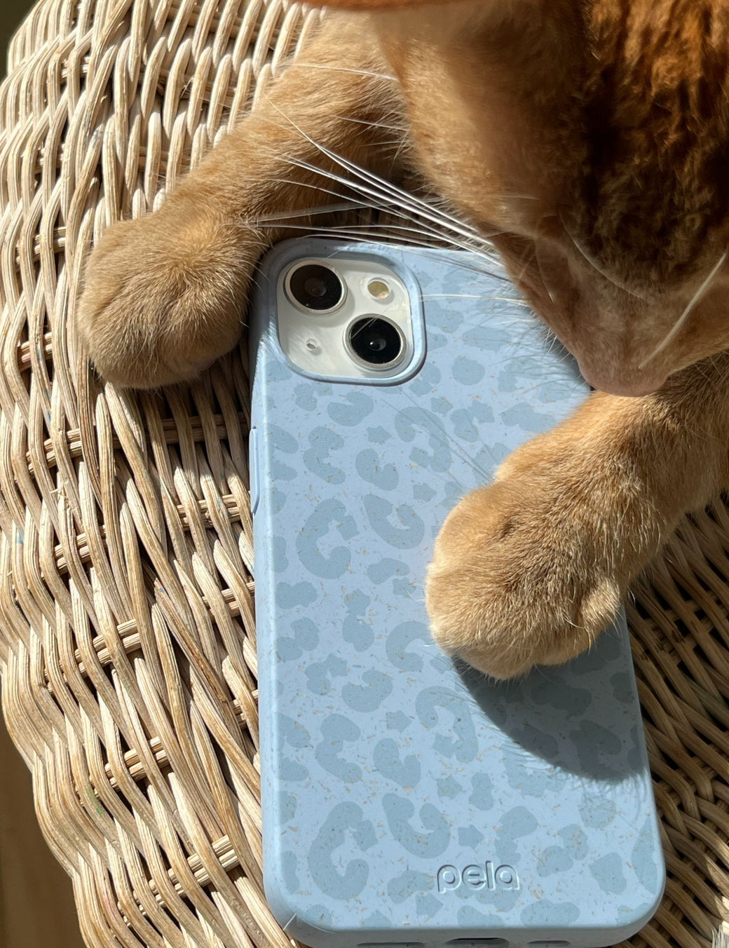 Powder Blue Sky Leopard iPhone 13 Pro Case