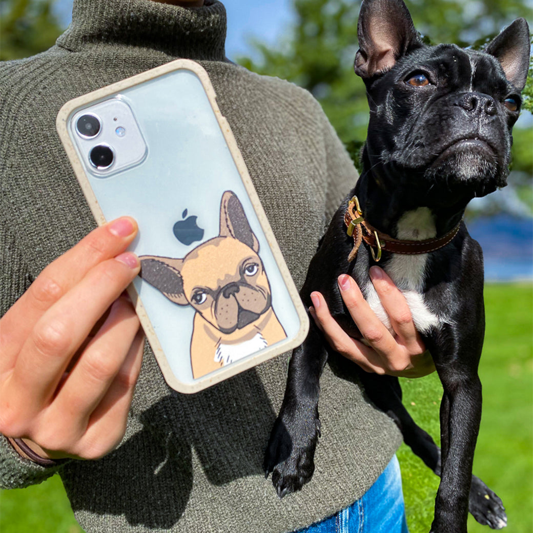 Clear Frenchie Portrait iPhone 11 Pro Case With London Fog Ridge